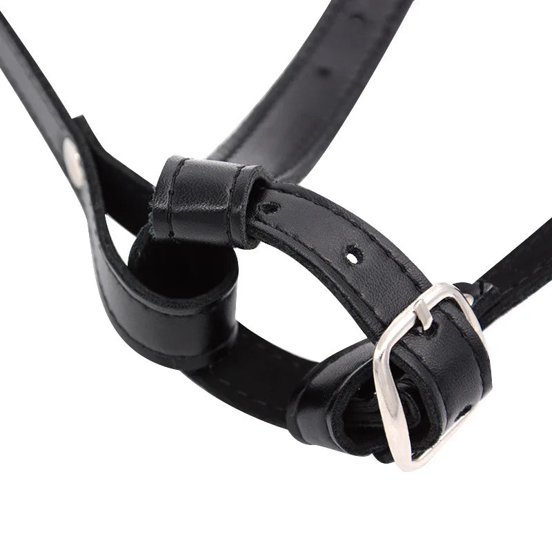 Masturbator Harness